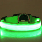 LED Luminous Dog Collar Night Safety Light-Up Pet Collar USB Rechargeable Glow Collar for Dogs
