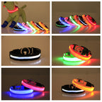 LED Luminous Dog Collar Night Safety Light-Up Pet Collar USB Rechargeable Glow Collar for Dogs