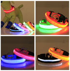 LED Luminous Dog Collar Night Safety Light-Up Pet Collar USB Rechargeable Glow Collar for Dogs