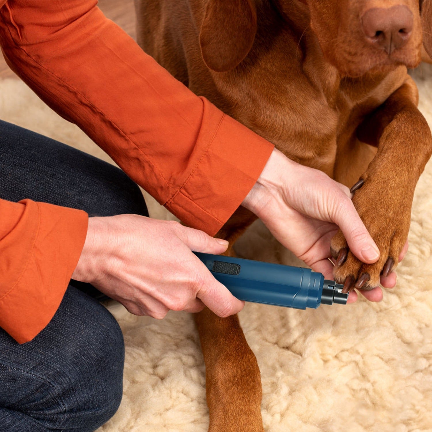 Quiet USB Rechargeable Dog Nail Grinder – 2-Speed Professional Pet Nail Trimmer for Safe & Smooth Claw Care (Dogs & Cats)