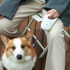 Retractable Dog Leash with LED Spotlight Automatic Pet Traction Rope & Collar for Small Medium Dogs