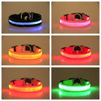 LED Luminous Dog Collar Night Safety Light-Up Pet Collar USB Rechargeable Glow Collar for Dogs