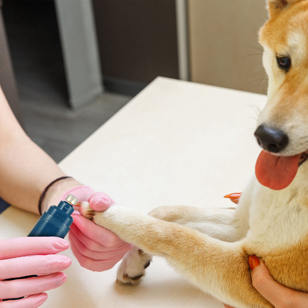 Quiet USB Rechargeable Dog Nail Grinder – 2-Speed Professional Pet Nail Trimmer for Safe & Smooth Claw Care (Dogs & Cats)